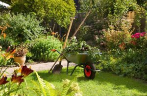 Mantenimiento jardines en Toledo