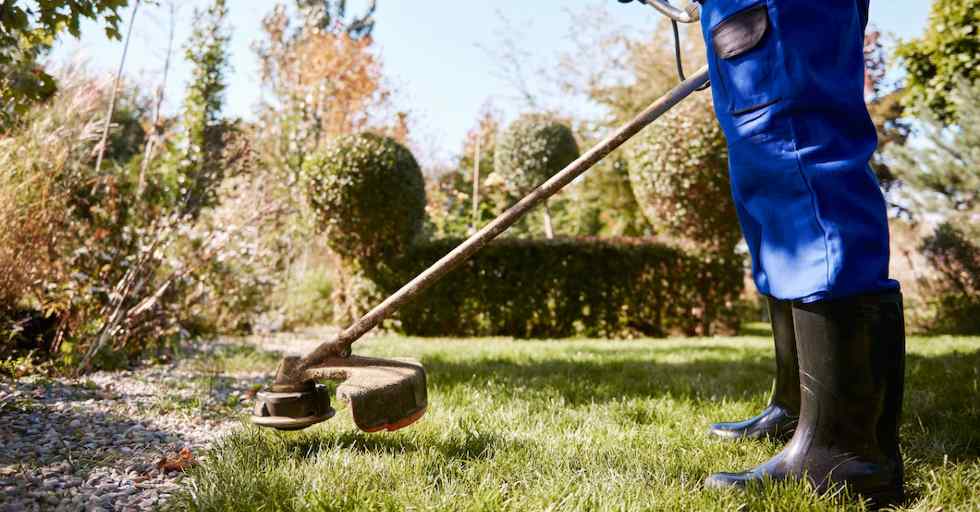 Preguntas frecuentes sobre el cuidado del césped