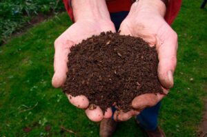 Abonos y fertilizantes