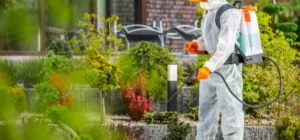 Fumigación de jardines